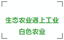 1626144757795067.png