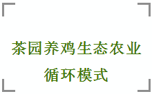 1626144825534727.png